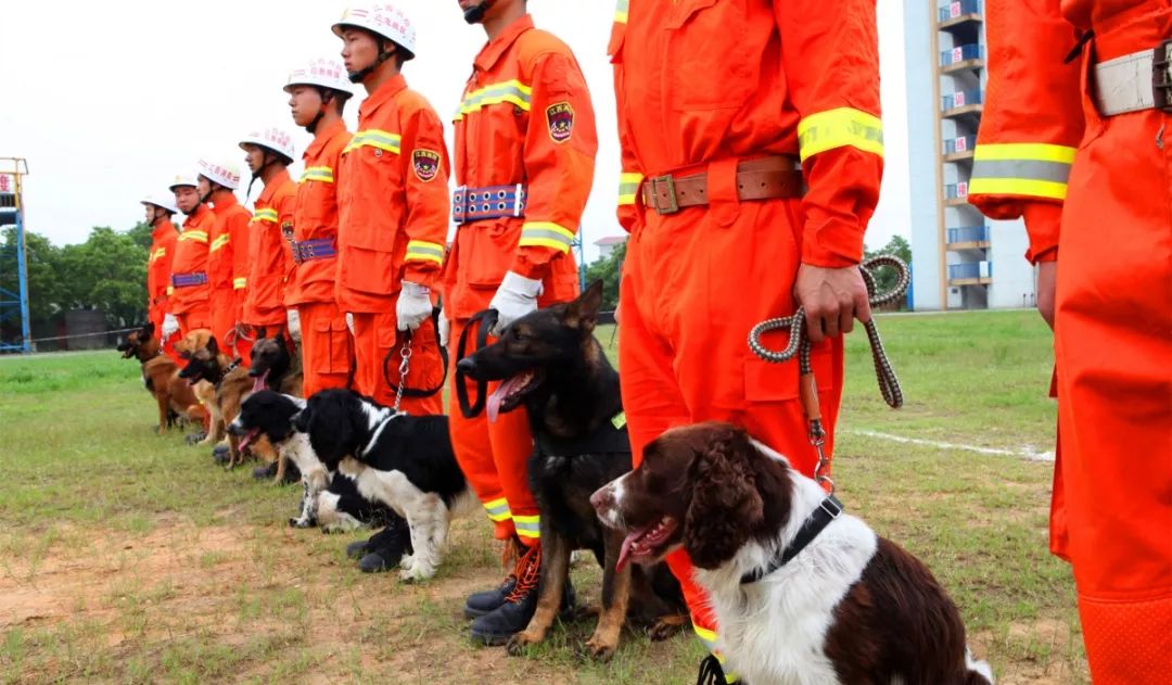 1541548938205562.jpg 6.jpg