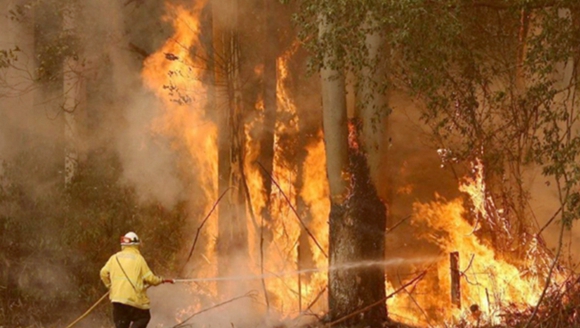 1580977110626930.jpg 澳大利亞二_副本.jpg